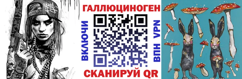 Галлюциногенные грибы Psilocybe Могоча